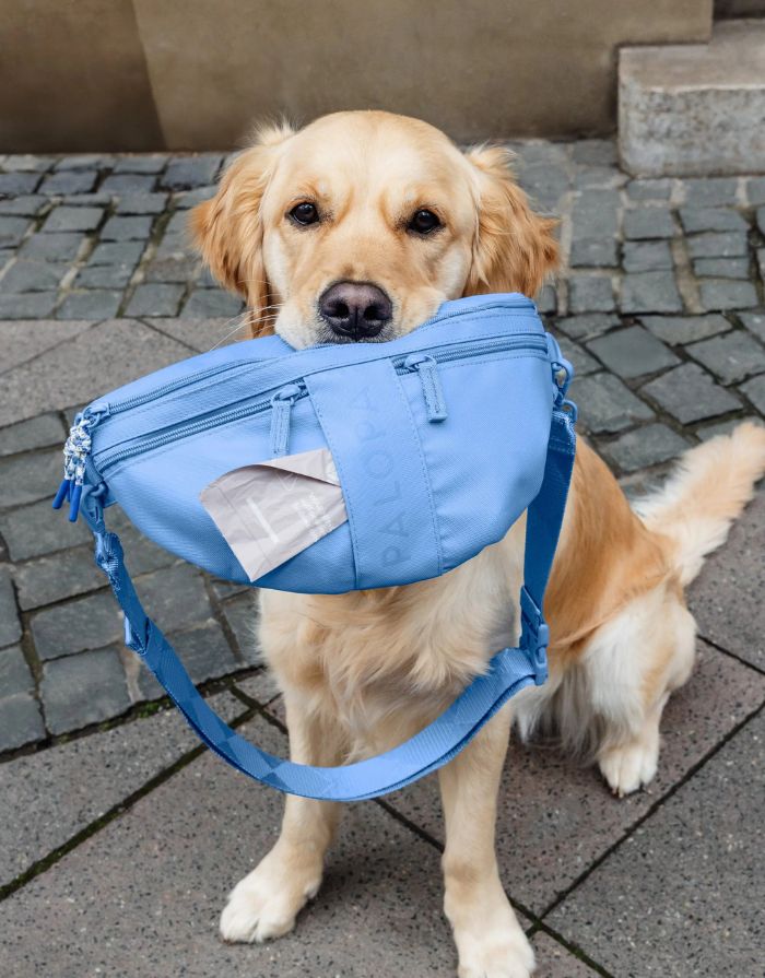 Leckerlitasche Emma in Sky Blue – multifunktionale Bauchtasche für Hundebesitzer:innen mit Leckerlifach, Reißverschlussfach und Kotbeutelspender. Wasserabweisend, abwaschbar und nachhaltig gefertigt aus recyceltem Polyester.