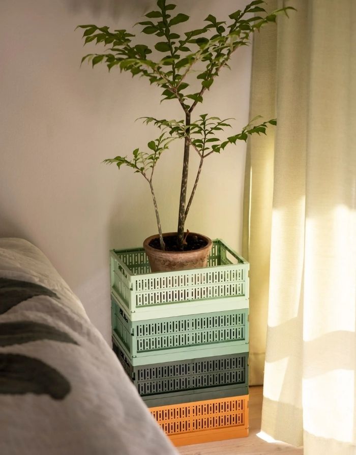 Klappkiste Maxi I Green Bean Green