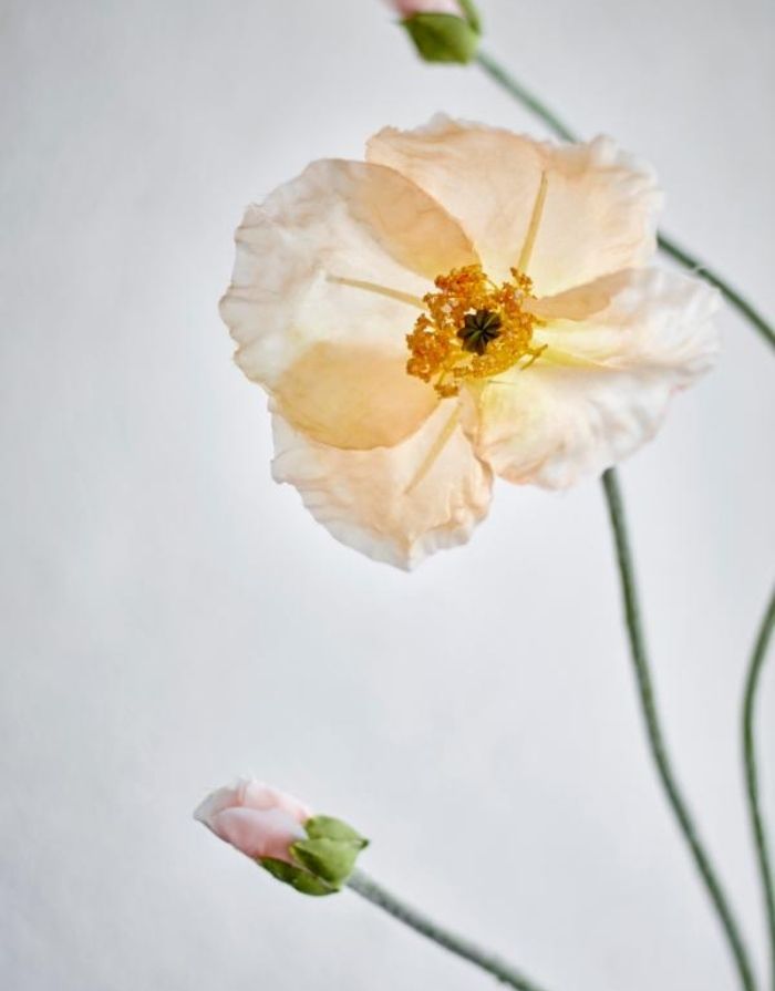 Kunstblume Poppy I Mohn Beige