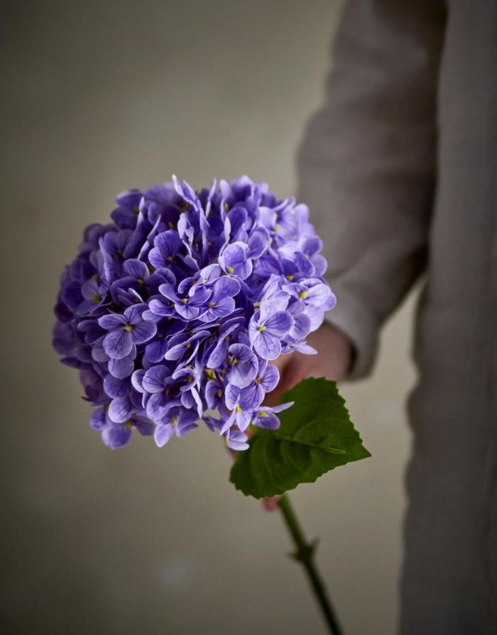 Bloomingville Kunstblume Hortensie violett mit zarten Blüten und langem Stiel.