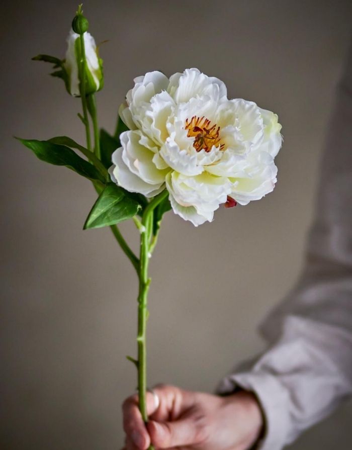  Bloomingville Kunstblume Pfingstrose Peony Stiel Weiß mit detailreicher Blüte.