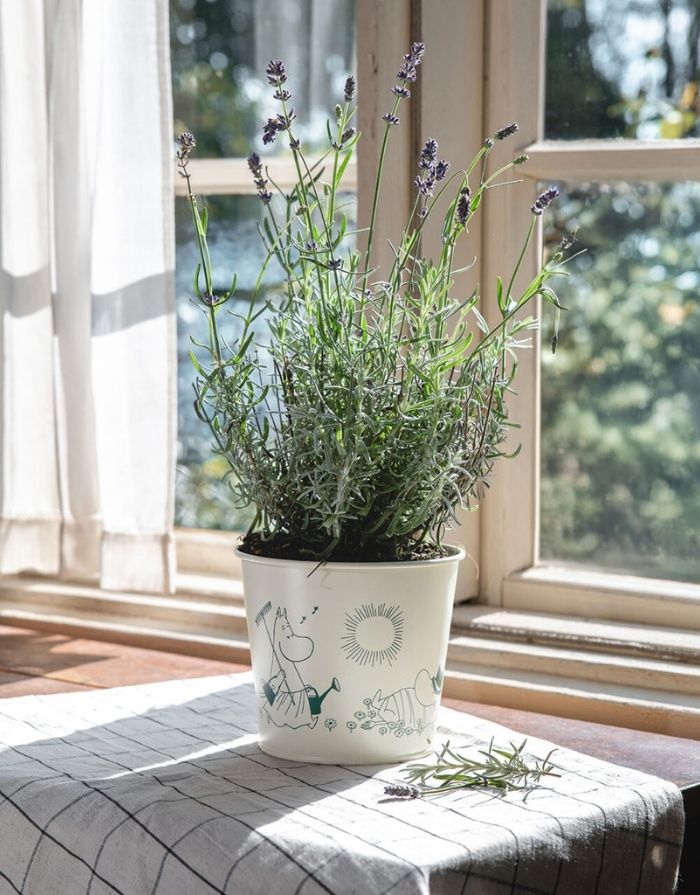 Übertopf Moomin I Gardenia