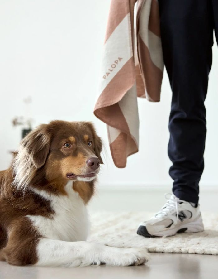 Hundedecke Ida M in Streifen Rose / Maple – weiche Decke aus Baumwollmischung für Hunde. Ideal für Zuhause und unterwegs, OEKO-TEX-zertifiziert, maschinenwaschbar und trocknergeeignet.