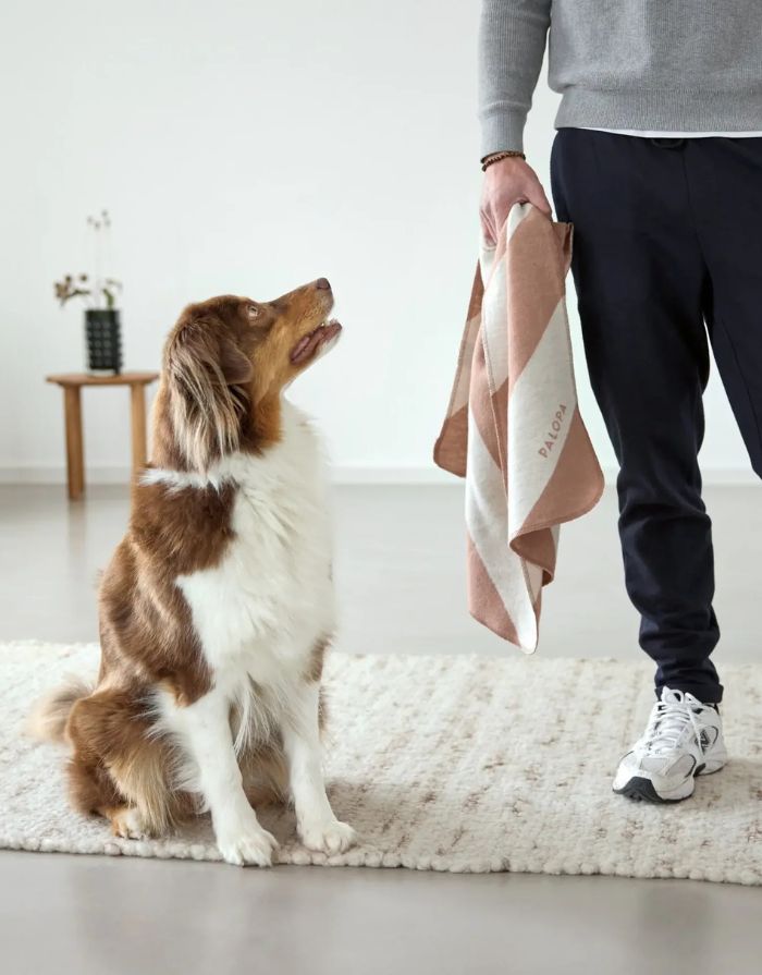 Hundedecke Ida M in Streifen Rose / Maple – weiche Decke aus Baumwollmischung für Hunde. Ideal für Zuhause und unterwegs, OEKO-TEX-zertifiziert, maschinenwaschbar und trocknergeeignet.