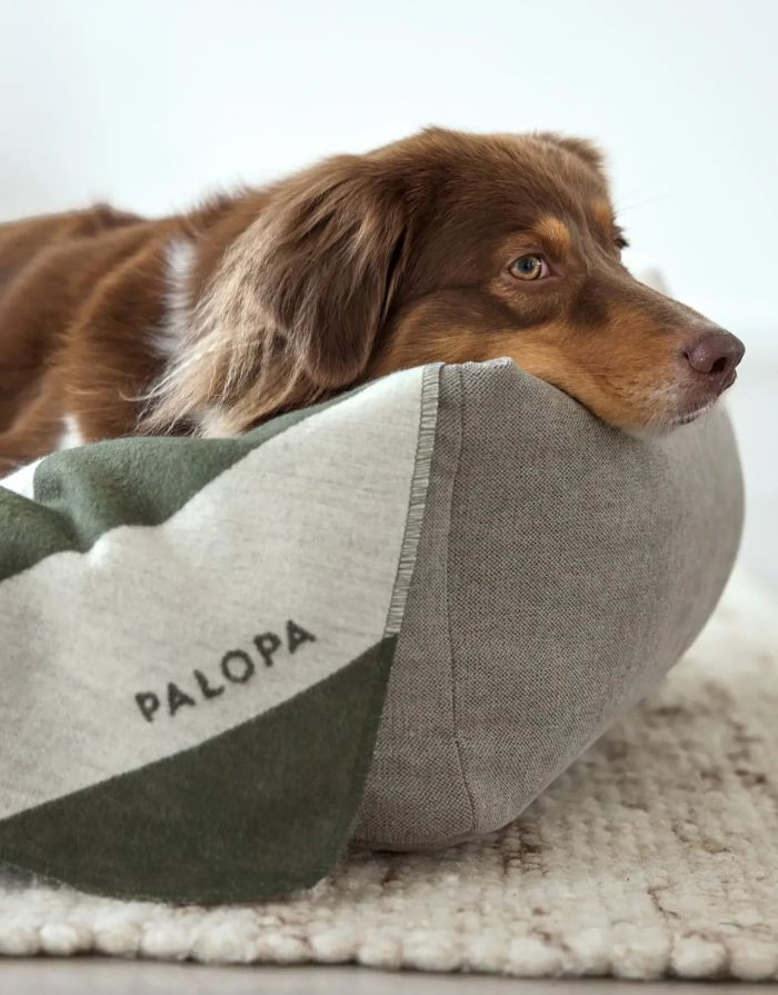 Hundedecke Ida M in Rose / Dark Olive – weiche, schadstoffgeprüfte Baumwollmischung, ideal für Hunde zu Hause oder unterwegs, pflegeleicht und in Österreich gefertigt.