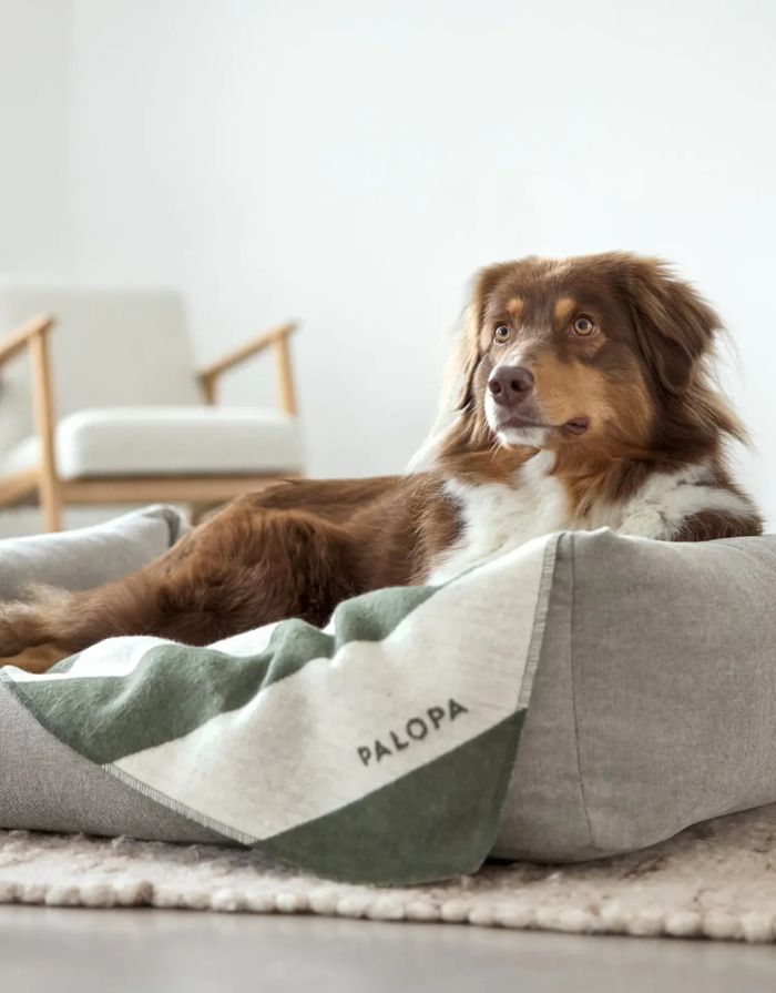 Hundedecke Ida M in Rose / Dark Olive – weiche, schadstoffgeprüfte Baumwollmischung, ideal für Hunde zu Hause oder unterwegs, pflegeleicht und in Österreich gefertigt.