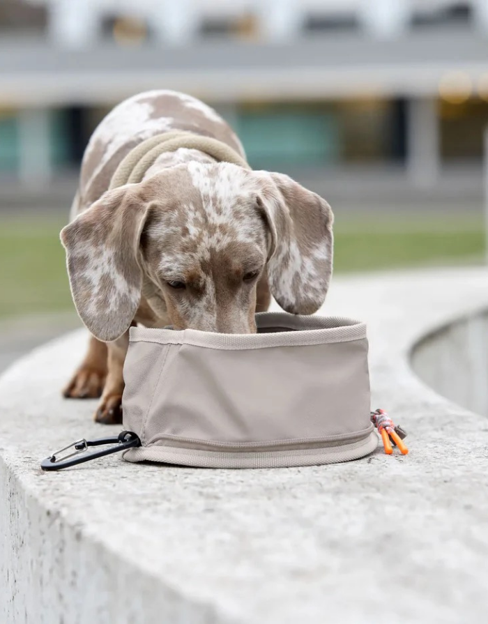 PALOPA Reisenapf Tura in Taupe aus recyceltem Polyester mit Reißverschluss und Karabiner
