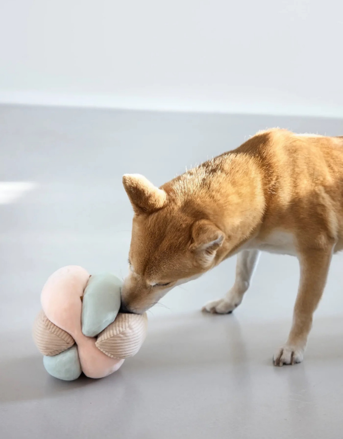 PALOPA Hundespielzeug Brino in Rosa aus weichem Polyester mit Versteckfächern für Leckerlis