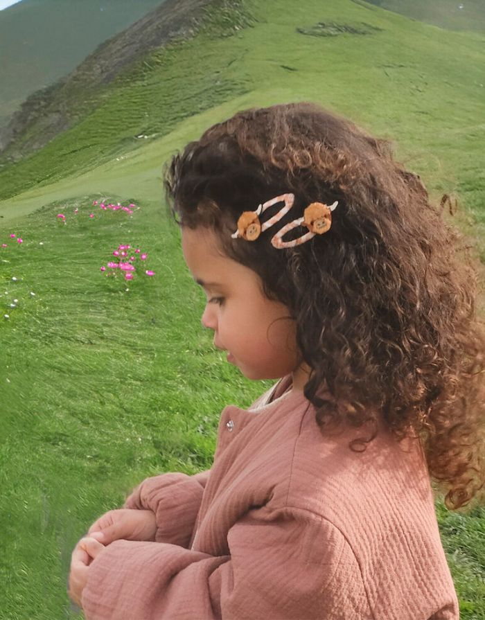 Haarspangen 2er-Set I Hettie Highland Cow