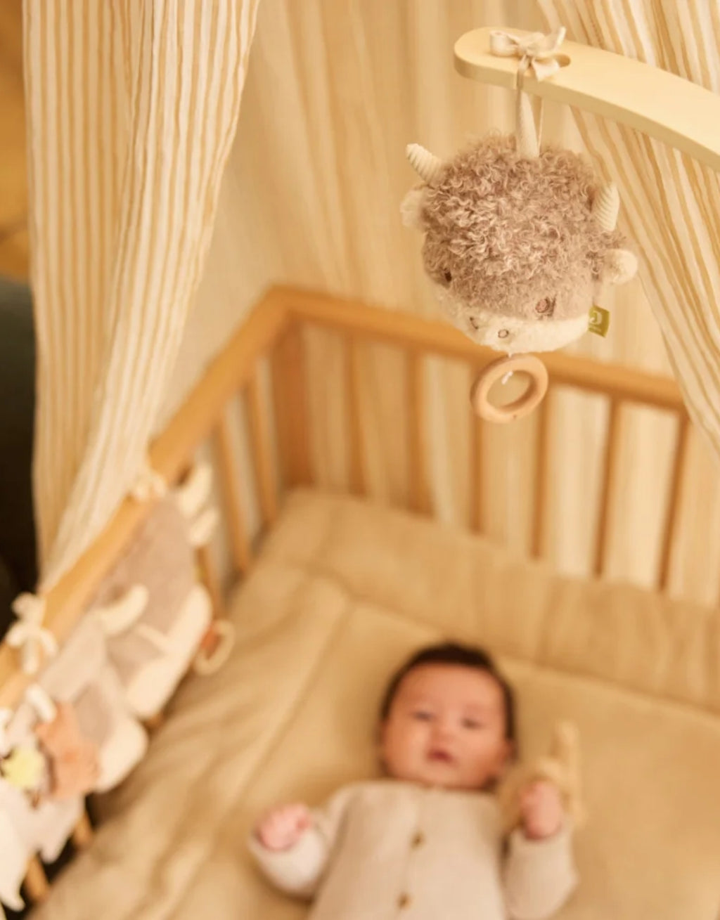 Weiche Spieluhr Highlander Chou von Jollein mit Holzring zum Aufziehen und beruhigender Brahms-Melodie für Babys.