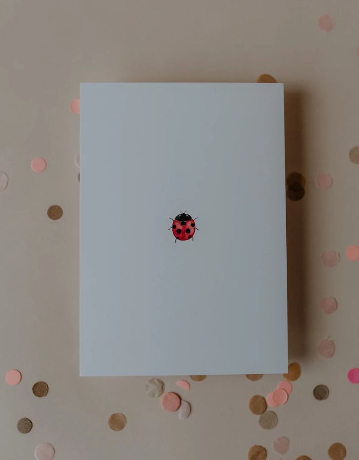 Postkarte I Marienkäfer