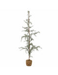 Grüner künstlicher Vita Baum von Bloomingville mit natürlicher Optik und einer Höhe von 150 cm.