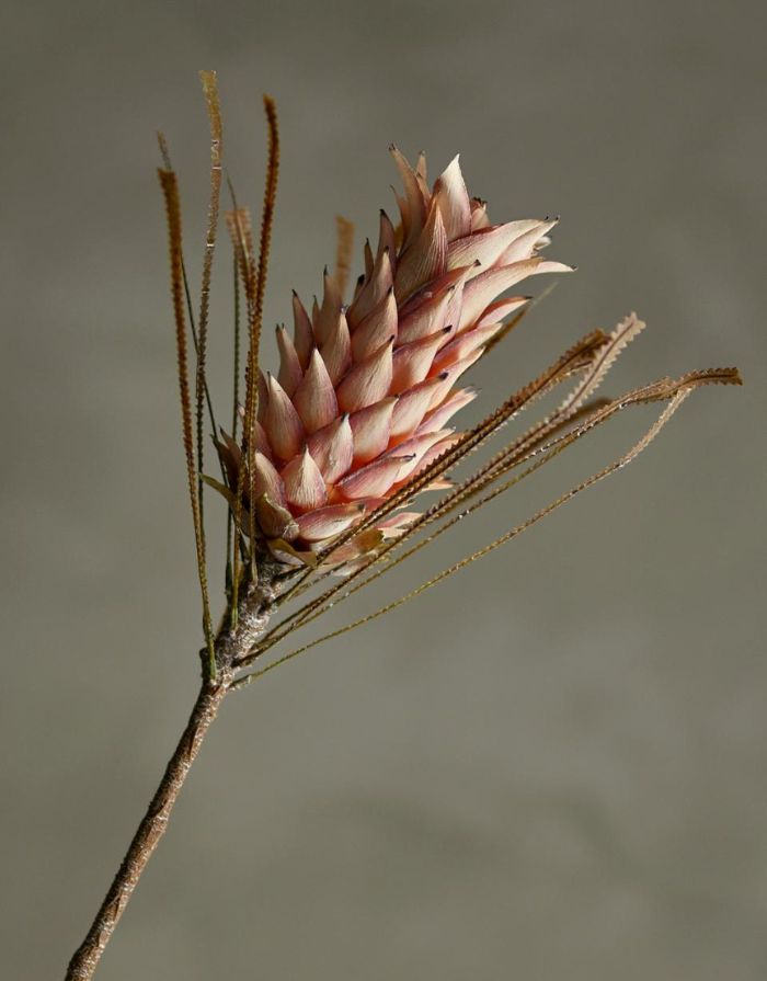 Kunstblume Palmflower Stiel I Rose