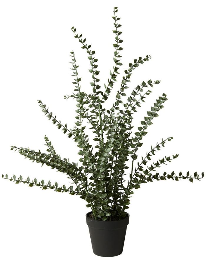 Kunstpflanze Eukalyptus H 72cm I Grün