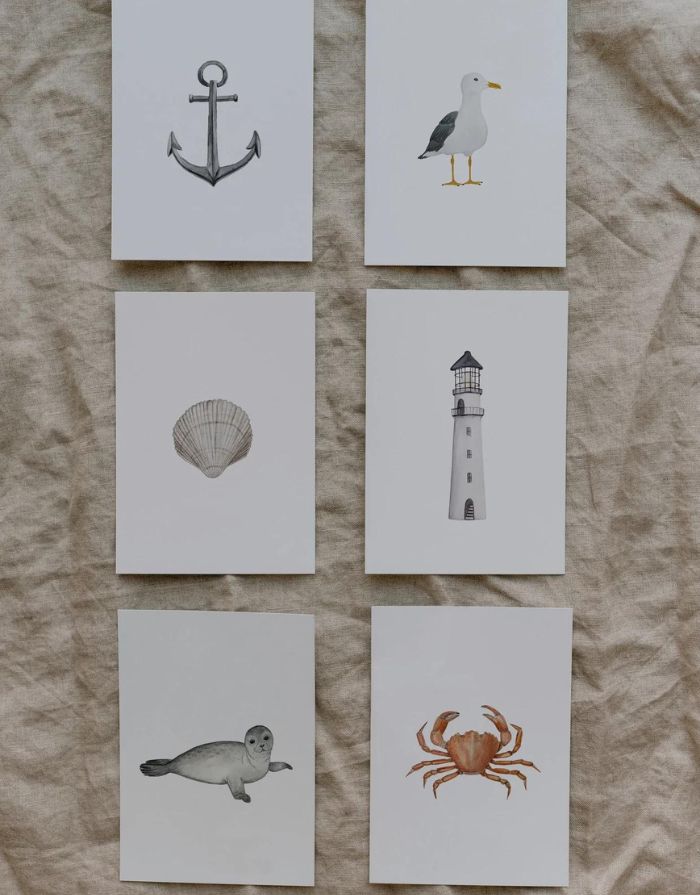 Postkarte I Robbe
